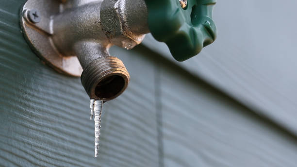 Best Shower Repair Services  in Malad City, ID